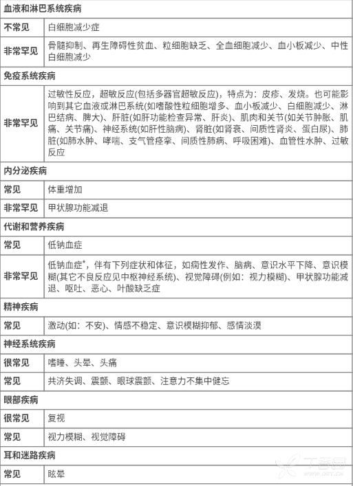 图片预览