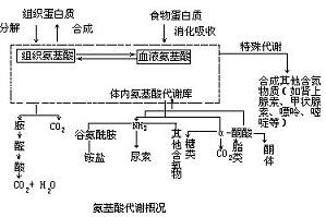丁香实验推荐阅读