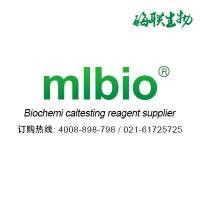 小鼠抗PIKFYVE单克隆抗体