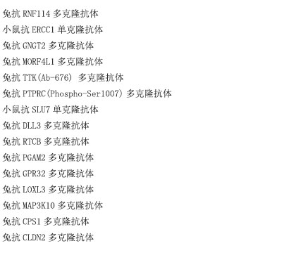 兔抗HP多克隆抗体