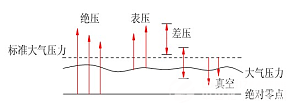 丁香实验推荐阅读