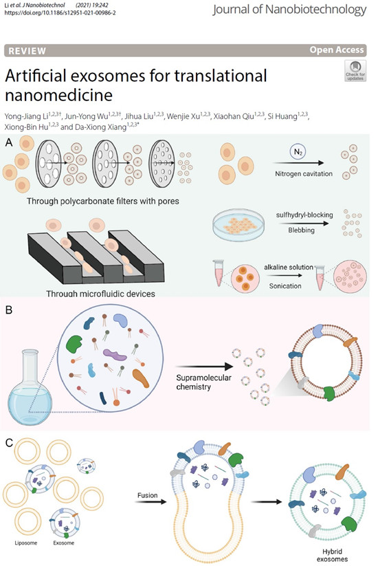 湘雅二医院药学部向大雄教授团队在纳米医学领域取得新研究进展