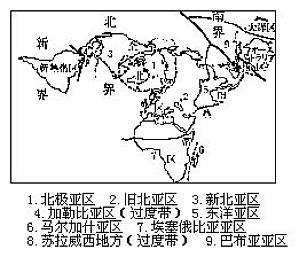 丁香实验推荐阅读