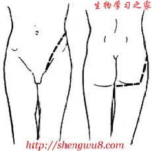 丁香实验推荐阅读