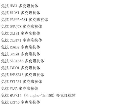 CENPU抗原重组蛋白
