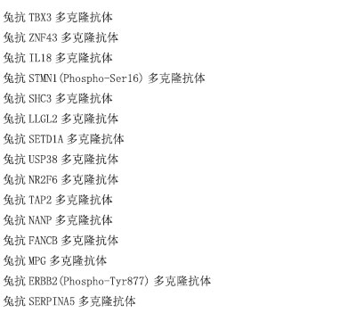 兔抗HPN多克隆抗体