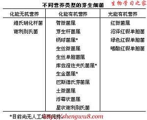 丁香实验推荐阅读