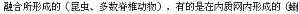 丁香实验推荐阅读