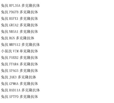 兔抗HEXIM1多克隆抗体