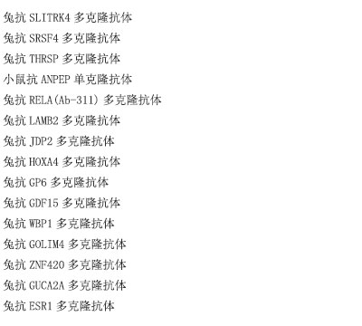 CDHR4抗原重组蛋白