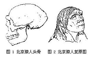 丁香实验推荐阅读