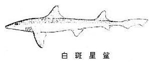 丁香实验推荐阅读