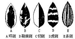 丁香实验推荐阅读