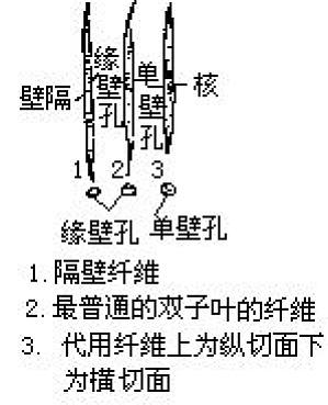 丁香实验推荐阅读