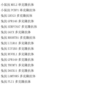 CPM 抗原重组蛋白