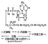 丁香实验推荐阅读