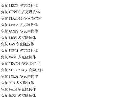 CDC23抗原重组蛋白