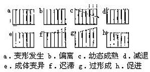 丁香实验推荐阅读