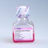 OriCell® 神经干细胞无蛋白非程序冻存液