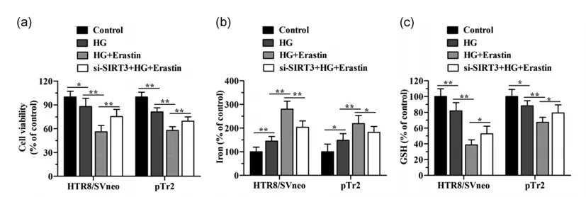 细胞实验也能发5分的文章之《自噬依赖性的铁死亡》
