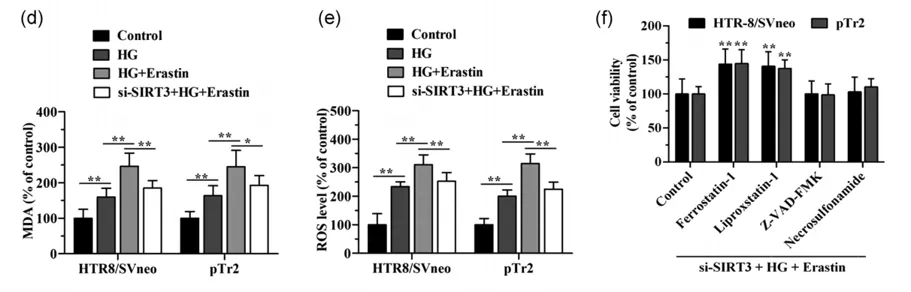 细胞实验也能发5分的文章之《自噬依赖性的铁死亡》