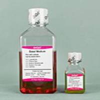 OriCell®成人脂肪间质干细胞+完全培养基Kit