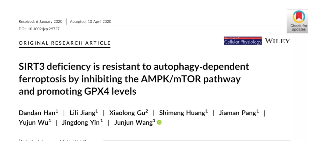 细胞实验也能发5分的文章之《自噬依赖性的铁死亡》