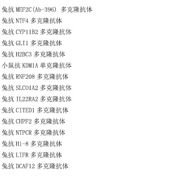 小鼠抗NUP210单克隆抗体