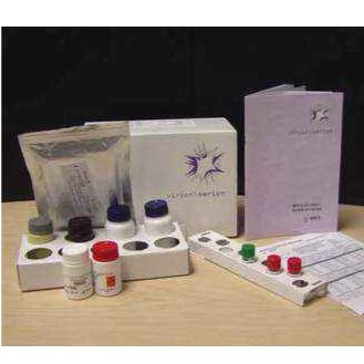 德國維潤賽潤ESR142M土拉弗朗西斯氏菌IgM抗體檢測ELISA試劑盒