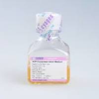 OriCell® 通用血清型非程序冻存液