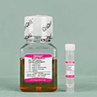 OriCell® 大鼠神经元细胞完全培养基