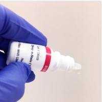 Drop-n-Stain CF594 驴抗小鼠 IgG (H+L), 高度交叉吸附 20953