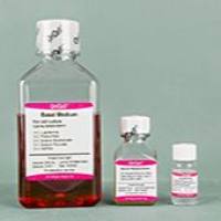 OriCell® 小鼠胚胎干细胞无血清培养基Ⅰ型（有饲养层）