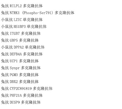 兔抗LTO1多克隆抗体