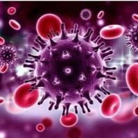 SARS-CoV-2(Omicron) Spike S1 Protein(His Tag)