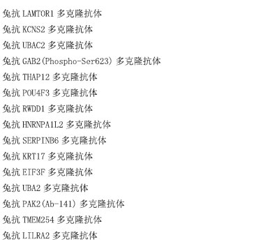 兔抗HECTD1多克隆抗体