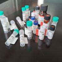 RNF144B 抗原（重组蛋白）