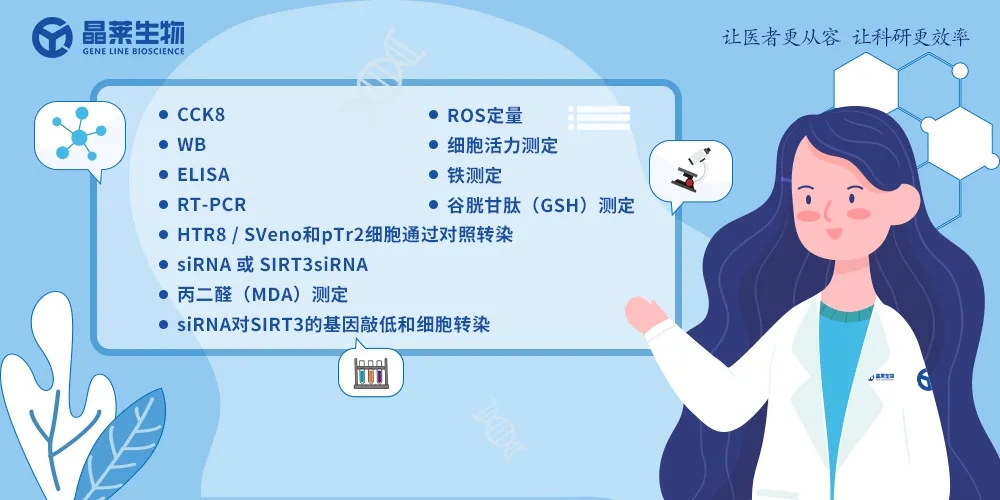 细胞实验也能发5分的文章之《自噬依赖性的铁死亡》