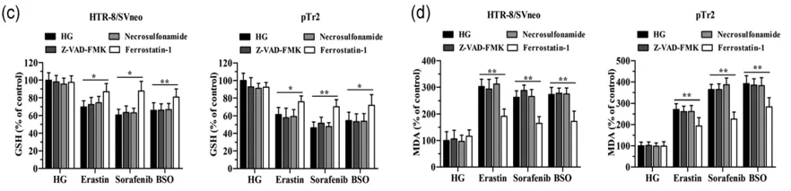 细胞实验也能发5分的文章之《自噬依赖性的铁死亡》