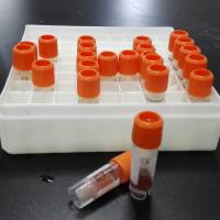 豚鼠肝微粒体Guinea pig Liver Microsomes  药物代谢稳定性实验/ADME实验/药理和药代相关实验