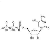 5-Methyl-CTP Sodium Salt, 100mM