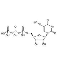 5-Methoxy-UTP Sodium Salt, 100mM