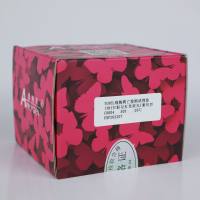 TUNEL细胞凋亡检测试剂盒 (TRITC标记红色荧光) 通用型  C0004