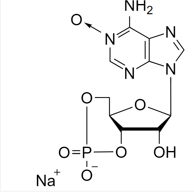 德国 Biolog life science, Adenos