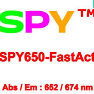 SPY650-FastAct™肌动蛋白活细胞细胞骨架探针