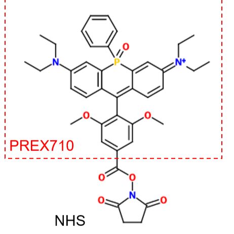 化学稳定性高的耐光性近红外荧光染料  PREX710-NHS (Super PhotoStable Dye)
