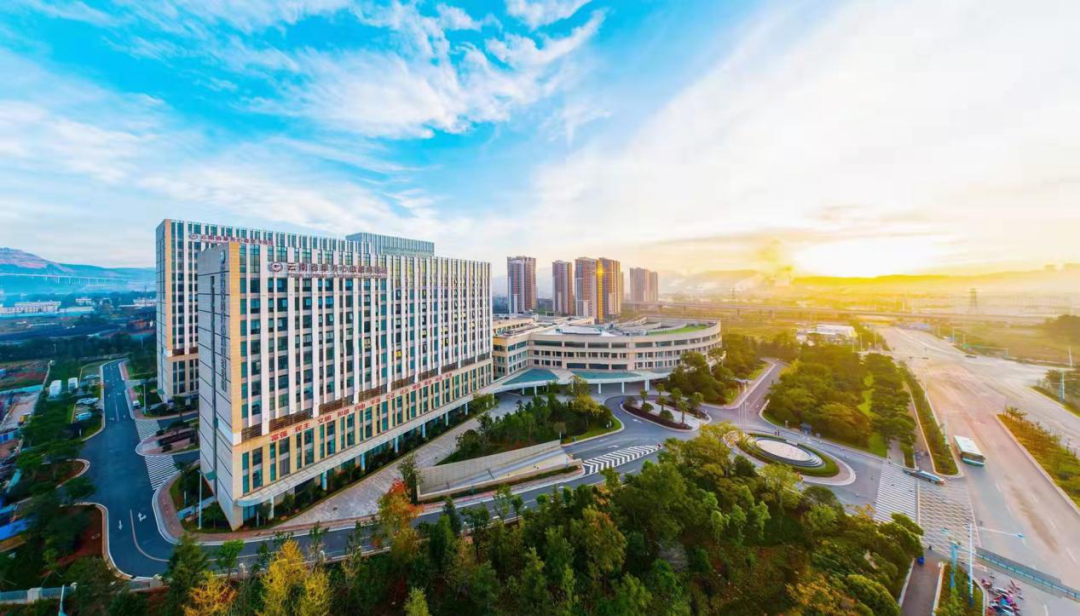央视专访阜外医院潘湘斌教授：聚焦中国原创技术，聚焦国家区域医疗中心