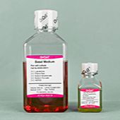 OriCell® 细胞培养基，干细胞诱导分化培养基
