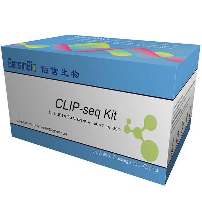 CLIP-seq 试剂盒（CLIP-seq Kit，12T）