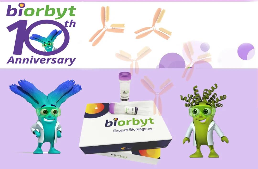【Biorbyt 抗体年终大促】半价优惠 & 买一送一